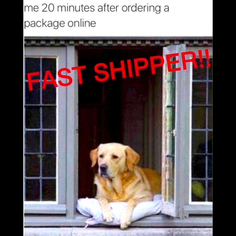 ⚡️I Ship Fast 📦💨💨!